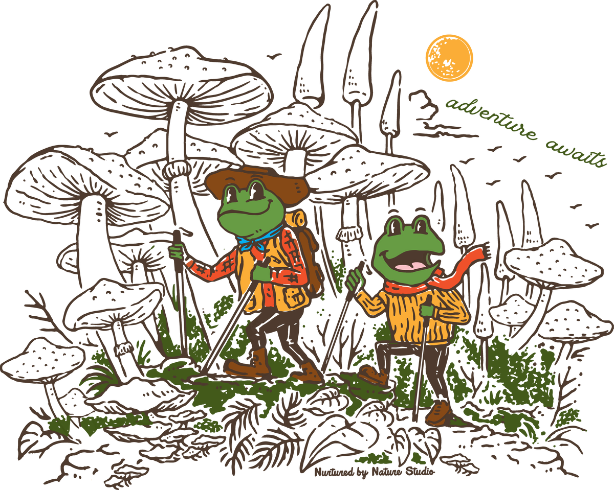 Adventure Frogs in Full Color